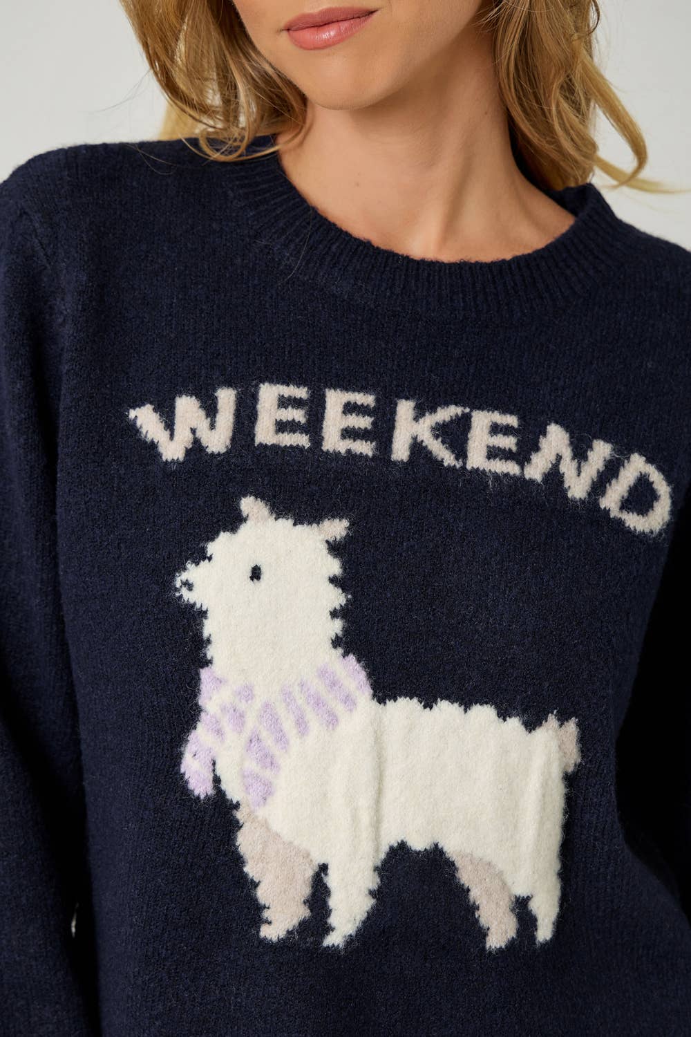 Weekend Pullover Sweater: Navy/Alpaca